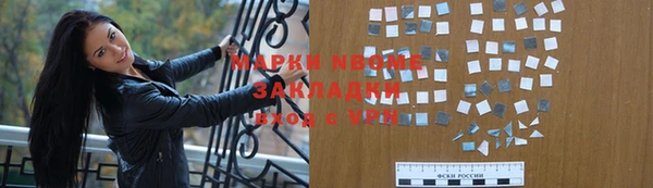 прущие грибы Аркадак