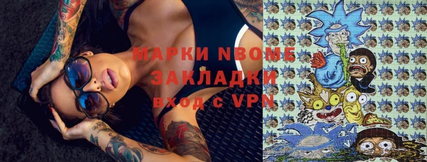 прущие грибы Аркадак
