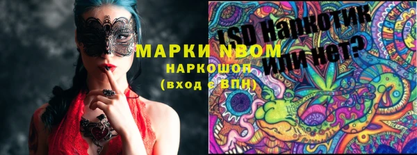 прущие грибы Аркадак